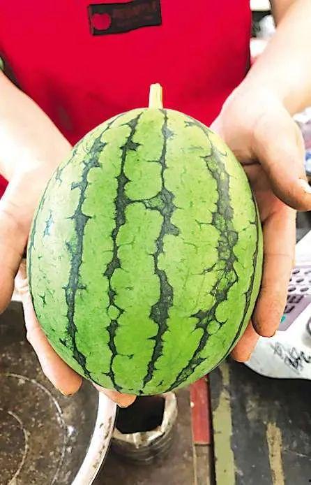 灵石的吃瓜事件,揭秘网络舆论背后的真相与反思