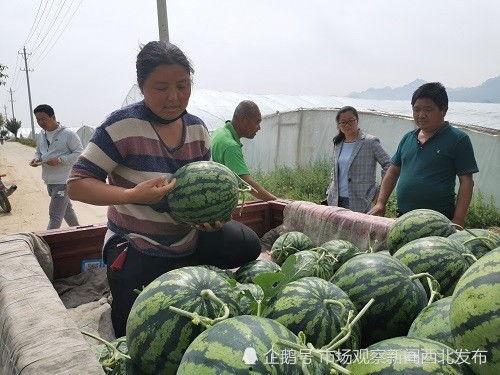 邢台市最新吃瓜事件新闻