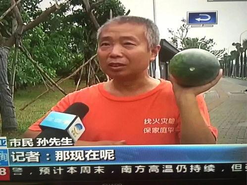 421事件吃瓜群众