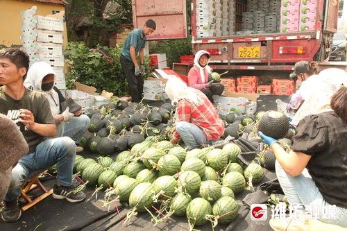 庄河吃瓜事件70万