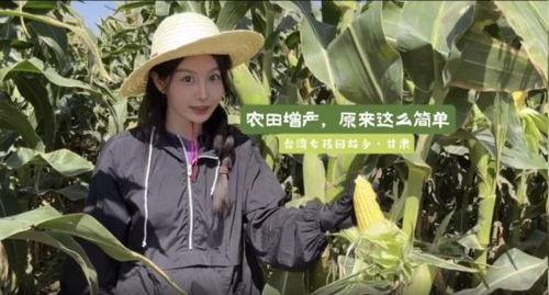 甘肃吃瓜最新事件新闻,揭秘背后真相与网络热议