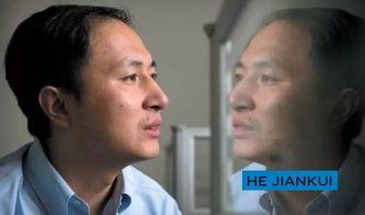 甘肃吃瓜最新事件新闻,揭秘背后真相与网络热议