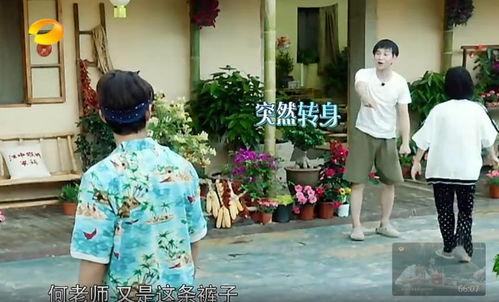 柘城吃瓜群众事件真相,揭开真相背后的网络暴力与误解