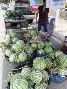 安徽平湖吃瓜事件视频,一场引发热议的街头冲突