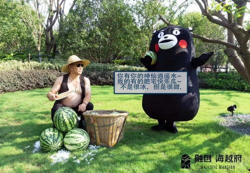 安徽平湖吃瓜事件视频,一场引发热议的街头冲突