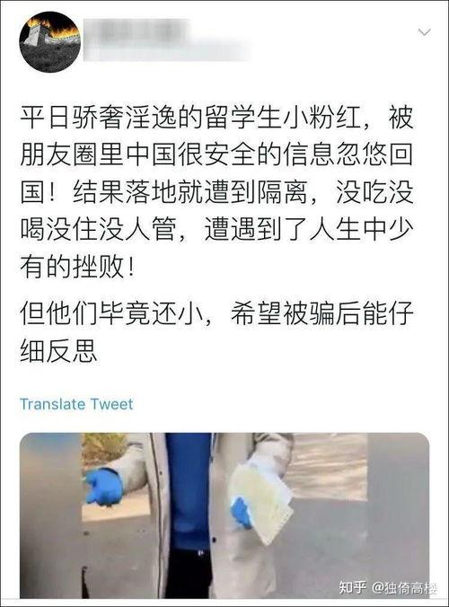 山东济宁吃瓜事件始末,一场网络热议背后的真相与反思