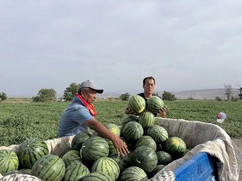 集美大学吃瓜事件是什么