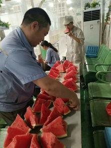 后厂村吃瓜群众事件真相,真相与反思