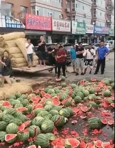 寿光花店吃瓜事件真相,真相与反思