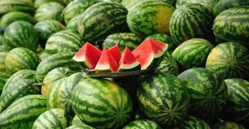 镇江吃瓜事件真相揭秘图