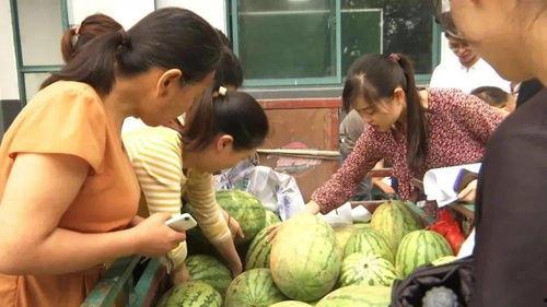 漳浦吃瓜群众事件视频,网络围观下的社会现象剖析