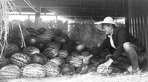 漳浦吃瓜群众事件视频,网络围观下的社会现象剖析