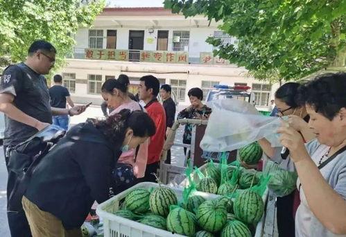 漳浦吃瓜群众事件视频,网络围观下的社会现象剖析