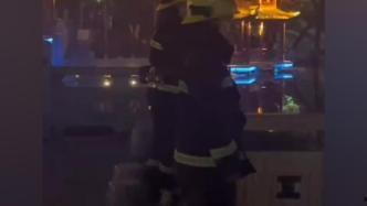 夷陵吃瓜群众事件视频,一场网络舆论的风暴与反思