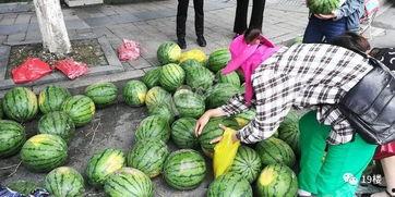 杭州天台吃瓜事件,一场网络围观下的道德拷问