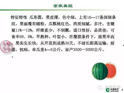 校园吃瓜事件文字描述,揭秘校园里的八卦风云