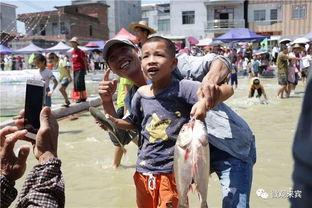 台湾海上吃瓜群众事件,一场网络围观的风波解析