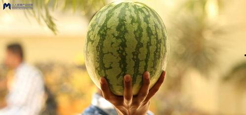 吃瓜是什么事件,一场全民参与的舆论盛宴