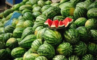 苏州吃瓜事件真相揭秘图片