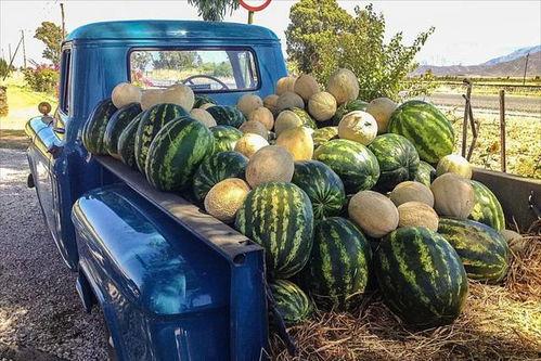 苏州吃瓜事件真相揭秘图片