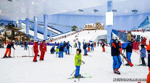 全民吃瓜事件原因分析,揭秘背后原因与影响