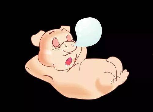 韩国博主看猪吃瓜事件