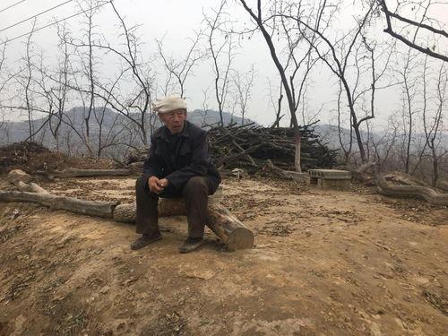 吕梁临县吃瓜事件真相,真相与反思